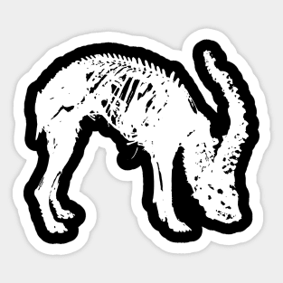 AMENRA ANIMAL Sticker